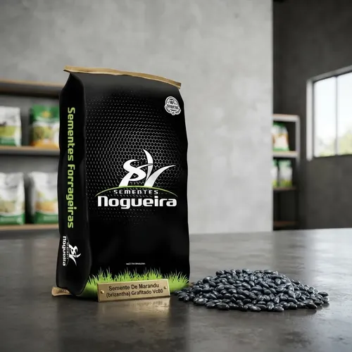 10kg semente de marandu brizantha grafitado vc80