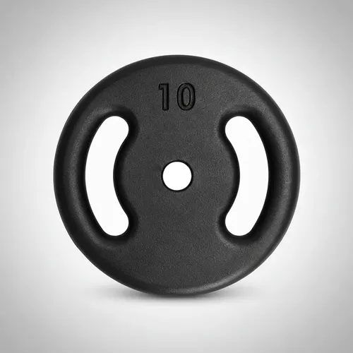 Anilha Vazada 10kg Pintado Academia Musculação (unidade)
