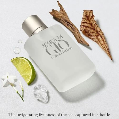 Armani Acqua Di Gio Perfume Masculino 100ml EDT