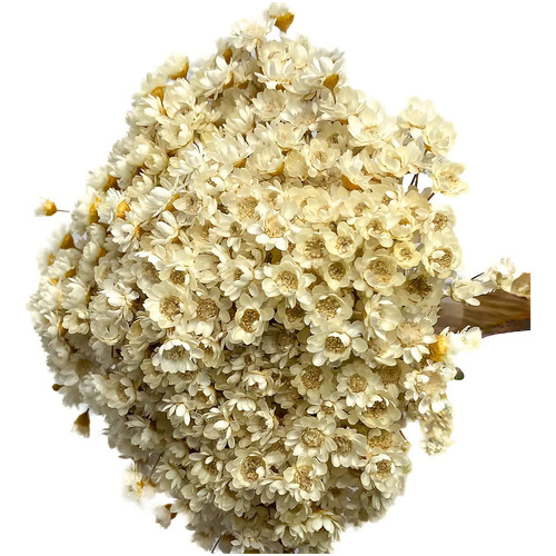 Arranjo florzinha seca natural desidratada branca decoracao 1