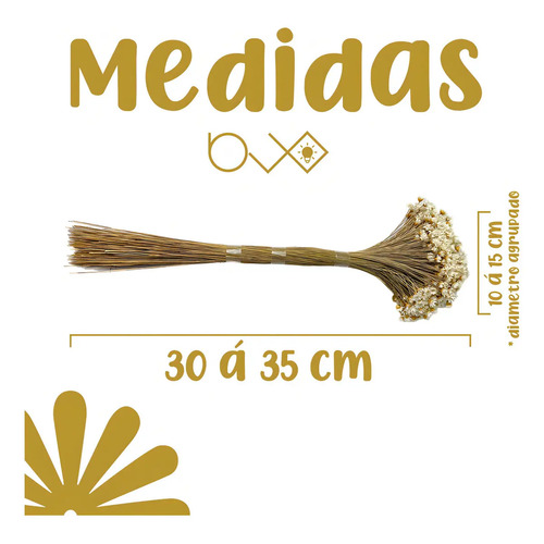 Arranjo Florzinha Seca Natural Desidratada Branca Decoração Artesanal