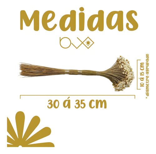 Arranjo Florzinha Seca Natural Desidratada Branca Decoração Artesanal