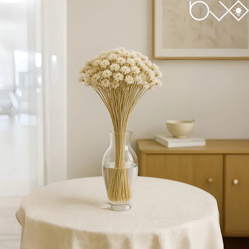 Arranjo Florzinha Seca Natural Desidratada Branca Decoração Artesanal