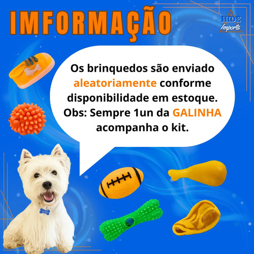 Brinquedo Pra Cachorro Frango Galinha Pet Bolinha 5 Un