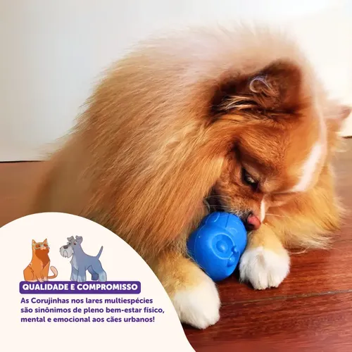 Brinquedo Recheável Resistente Corujinha Pet Games P/ Cães P