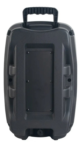 Caixa De Som Portátil Bluetooth 250w Cor Preto Aquário Hype 250