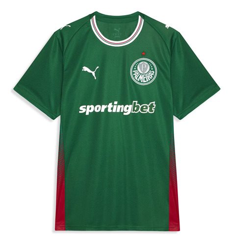 Camisa do palmeiras 2627 torcedor puma
