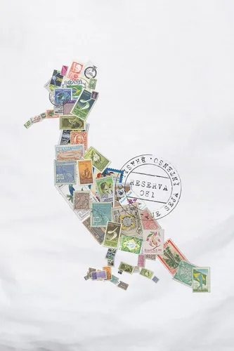Camiseta Algodão Pica Pau Selo Reserva