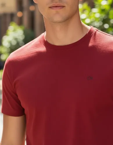 Camiseta Básica Ogochi Masculina Lisa Tecido Premium Oficial