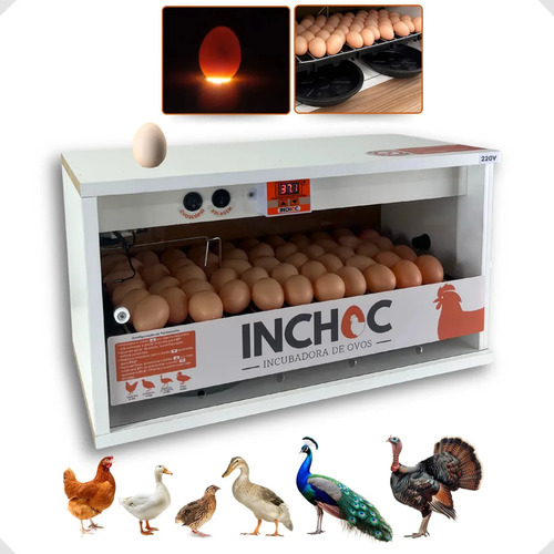 Chocadeira 50 ovos galinha rolagem automatica ovoscopio bran 1
