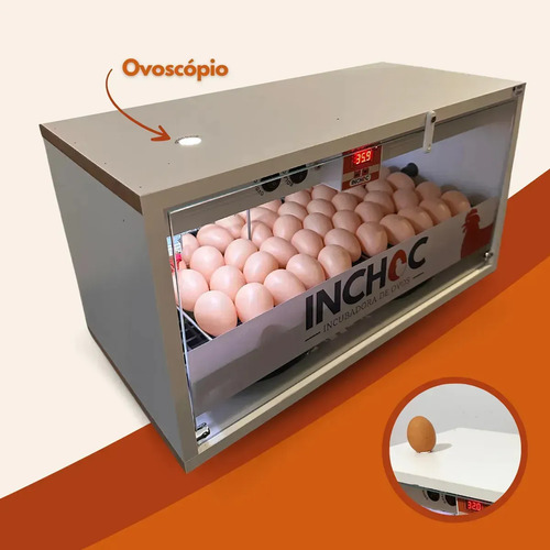 Chocadeira 50 Ovos Galinha Rolagem Automatica + Ovoscopio Branco