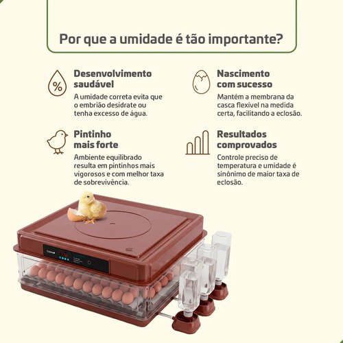 Chocadeira Incubadora 130 Ovos Bivolt Certificada Inmetro Automática Profissional Beltempo BT-400 Marrom