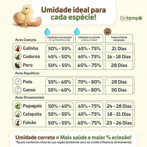 Chocadeira Incubadora 130 Ovos Bivolt Certificada Inmetro Automática Profissional Beltempo BT-400 Marrom
