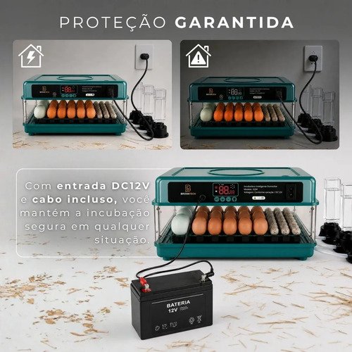 Chocadeira Incubadora Elétrica Automática Até 48 Ovos Galinha Ovoscópio Rolagem Controle Temperatura Pássaro Aves