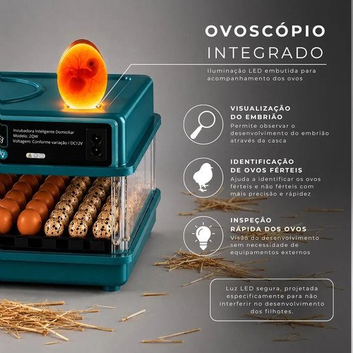 Chocadeira Incubadora Elétrica Automática Até 48 Ovos Galinha Ovoscópio Rolagem Controle Temperatura Pássaro Aves