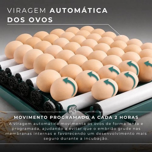 Chocadeira Incubadora Elétrica Automática Até 48 Ovos Galinha Ovoscópio Rolagem Controle Temperatura Pássaro Aves