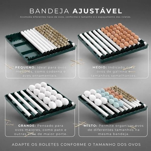Chocadeira Incubadora Elétrica Automática Até 48 Ovos Galinha Ovoscópio Rolagem Controle Temperatura Pássaro Aves