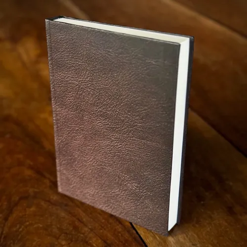 Diário Do Arthur Morgan + 19 Itens Adicionais