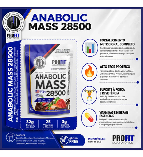 Hipercalórico Anabolic Mass 28500 3kg Profit Labs Sabor Chocolate com Morango