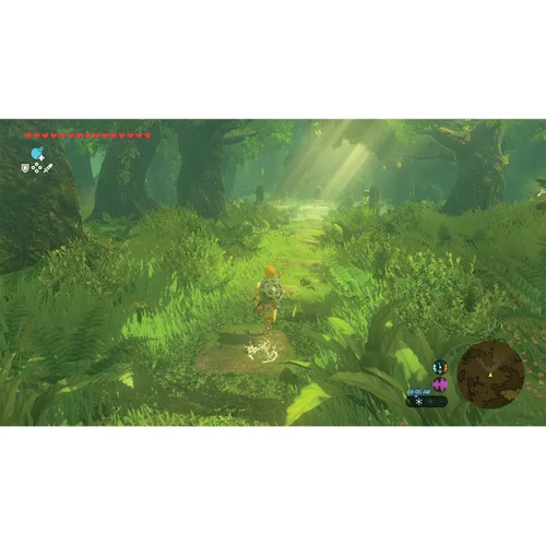 Jogo The Legend Of Zelda:breath Of The Wild Para Nintendo Switch 2