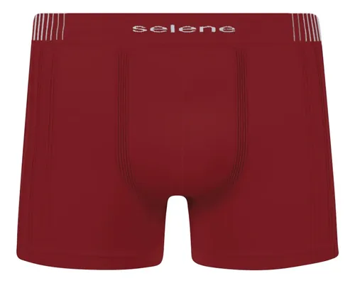 Kit 10 Cueca Boxer Sem Costura Microfibra Selene Masculina