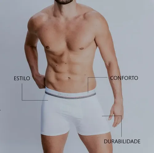 Kit 10 Cuecas Microfibra Boxer Masculina Com Lycra Box