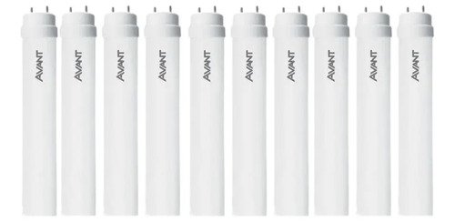 Kit 10 lampada led tubular t8 procel 8w branco neutro avant
