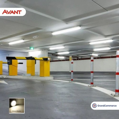 Kit 10 Lâmpada Led Tubular T8 Procel 8w Branco Neutro Avant Cor Da Luz Branco-neutro