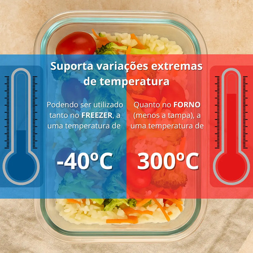 Kit 10 Potes Vidro Hermético Aristus 640ml Marmita Anti Vazamento Forno Micro-ondas Freezer Tampa 4 Travas - Cinza
