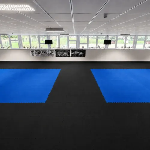 Kit 10 Tatames 1m X 1m 30mm Profissional Academia Premium