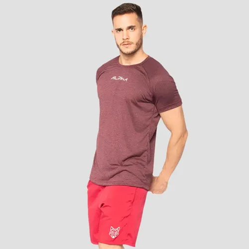 Kit 2 Camisetas New Fluid Masculina Dry Alpha