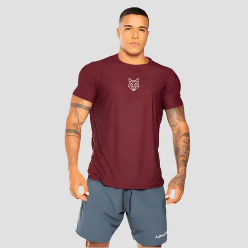 Kit 3 Camisetas Masculina Dry Alpha Lobo Geométrico