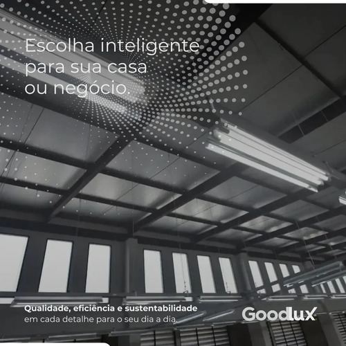 Kit 30 Lampada Led 18w T8 Tubular 120cm Branco Frio Goodlux Luz