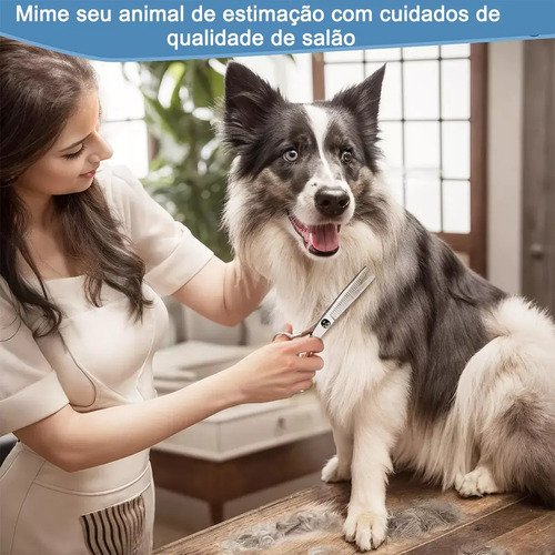 Kit 5 Tesoura Tosa Banho E Tosa Pet Shop Profissionais