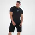 Kit 6 Camisetas Mais Procuradas Alpha