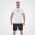 Kit 6 Camisetas Mais Procuradas Alpha