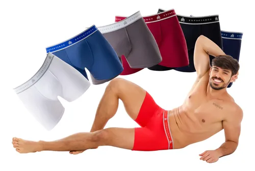 Kit Com 5 Cuecas Boxer Masculina Microfibra Original