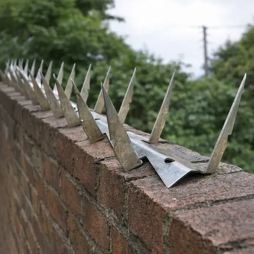 Lança De Proteção Galvanizada Para Muro 10mts