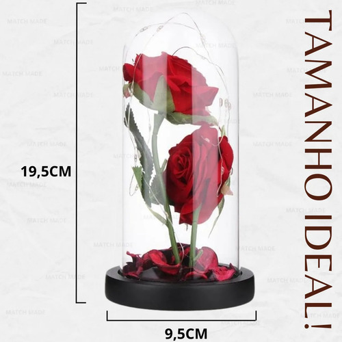 Luminária Rosa Encantada Led Cúpula Presente Flor + Pilha
