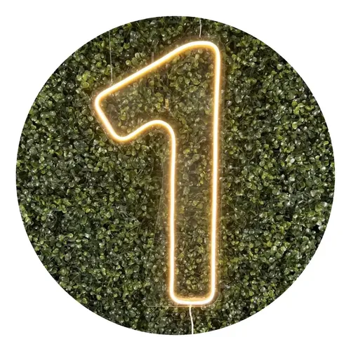 Numeros de neon led 0 a 9 painel placa decoracao festa 50 cm