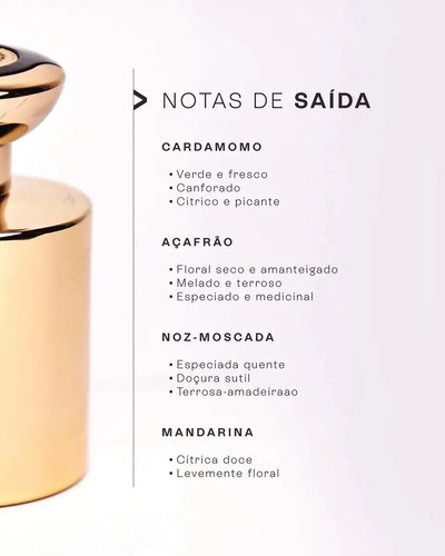 Perfume Masculino Kuf MoneyGold 100ml Importado