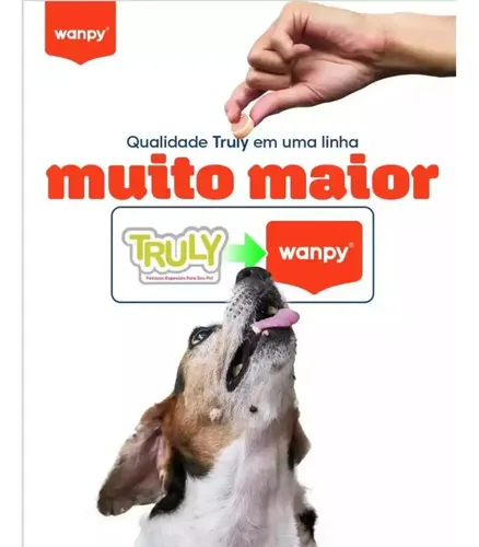Petisco Gatos Wanpy Truly Creamy Sabores Variados Com 50un