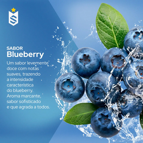 Pré-Treino Evolution Workout 300g Termogênico Sabor Blueberry Soldiers Nutrition Energia Foco Treino