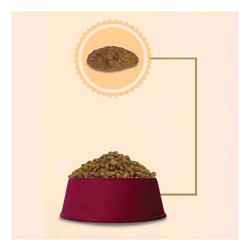 Ração Gran Plus Choice Gatos Adulto Frango E Carne 10,1kg,