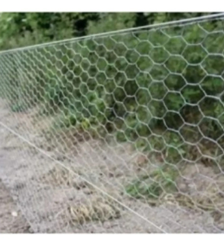 Rolo Tela Galinheiro Fio 23 50m X 1,50m Galvanizada Malha 2