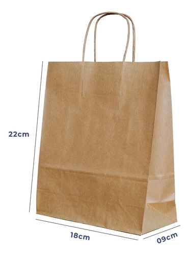 Sacola papel kraft p 18x22x9cm 100und acesso monolucido emba
