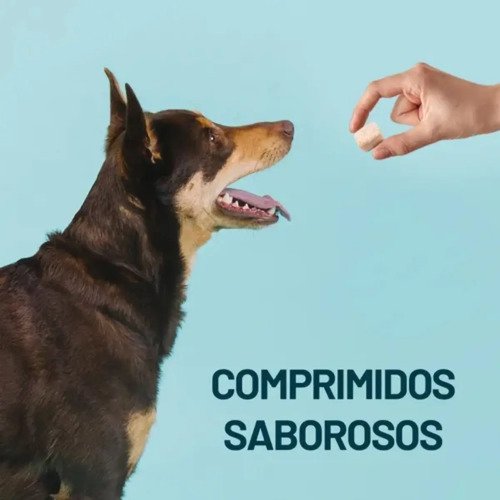 Simparic 80mg Cães 20 A 40kg Pulgas Carrapatos Sarnas 3 Comprimidos
