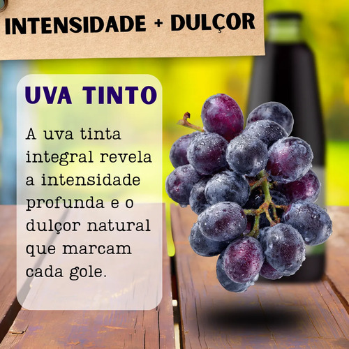 Suco De Uva Tinto Integral Hugo Pietro 1,35 Lts 100% Suco