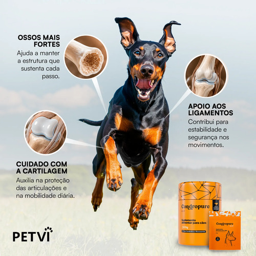 Suplemento Para Cães Condropure Condroitina E Glucosamina