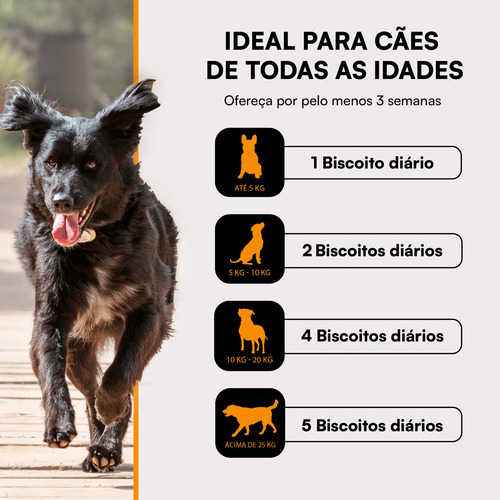 Suplemento Para Cães Condropure Condroitina E Glucosamina